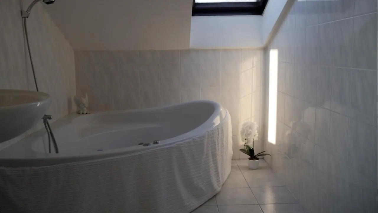 Guest house Villa Patricia - Ostrava